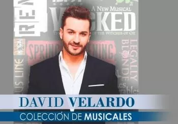 Colección de Musicales - David Velardo en MADRID