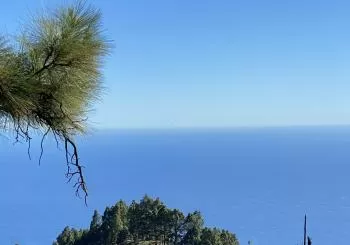 “Creme de la Creme de La Isla Bonita” Cata de Vinos de La Palma en Puerto de la Cruz