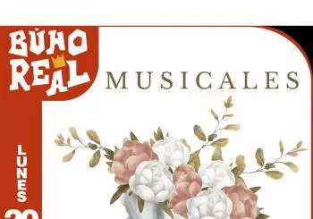 NOCHE DE MUSICALES en el Búho Real (Madrid)