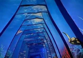 Science Expériences : Musée immersif de Science à Paris