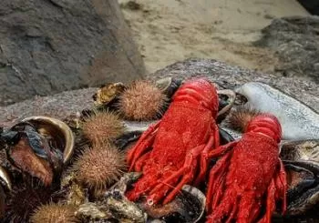Tasmanian Seafood Gourmet Full-Day Cruise Including Lunch en Hobart