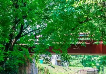 New Hope Mystery Picnic: Self-Guided Foodie Adventure en Philadelphia