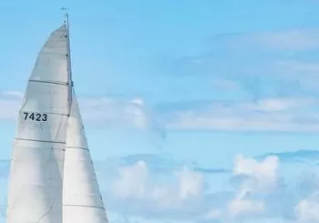 Island Hopper Day Cruise - sailing to wildlife sanctuary island - 6 hr cruise en Paihia