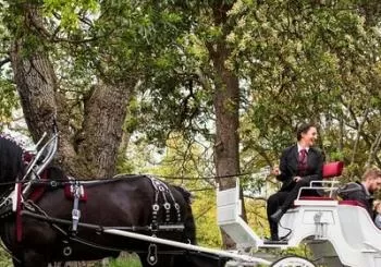 Beacon Hill Park Horse-Drawn Carriage Tour of Victoria