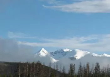 Rocky Mountain National Park Guided Tours from Grand Lake en Boulder