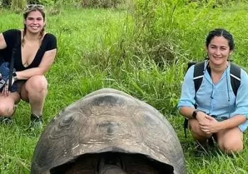 Private Tour Sighting Giant Tortoises and Lava Tunnels Santa Cruz