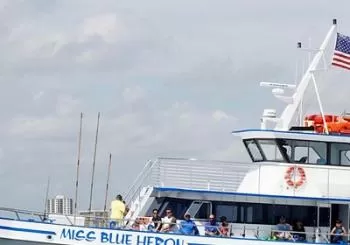 Half-Day Deep-Sea Fishing at Riviera Beach en West Palm Beach