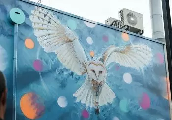 Jimmy C Street Art Walking Tour en Adelaide
