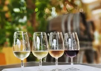 Southern Gippsland boutique Wine Tour with Tapas from Melbourne