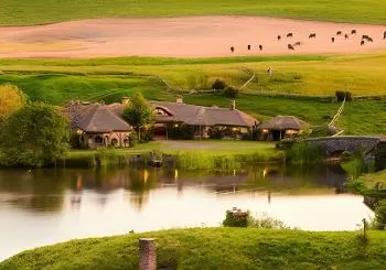 Hobbiton Movie Set Tour with lunch from Auckland