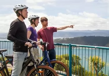 Guided Wellington Sightseeing Tour by Electric Bike