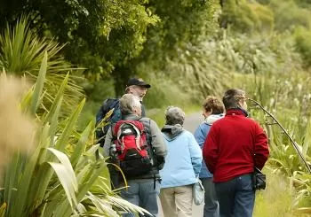Small Group Daytime 2-Hour Eco Wildlife Tour at Zealandia en Wellington