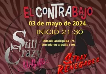 Still Crazy + Stray Renegades en Vigo