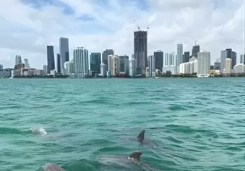 Semi-Private Zodiac RIB Boat Tour w/Exclusive Stiltsville Access en Miami