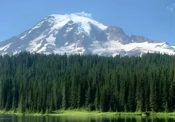 Touring and Hiking in Mt. Rainier National Park a Seattle