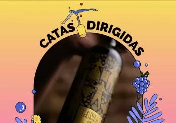 Cata de vino - Bodegas Hnos. Langa en Zaragoza