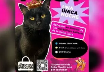 Señoras Fest en Madrid