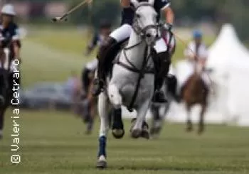 German Polo Tour 2024 - BAYERN Trophy en Holzkirchen