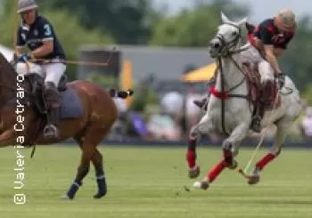 German Polo Tour - Hamburg - Gut Aspern en Groß Offenseth-Aspern