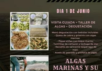 HUERTA MARINA DE BELÉN: ALGAS MARINAS Y SU USO EN GASTRONOMÍA en PUERTO REAL