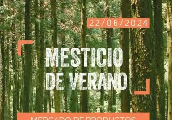 ¡Llega el MESticio de verano! en Villaviciosa de Odón