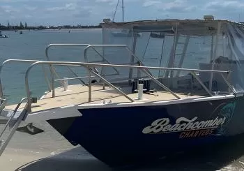 Surfers Paradise to Wavebreak Island Pelican Cruise + Picnic en Gold Coast