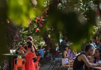 Pique-nique au Rosa Bonheur en Paris