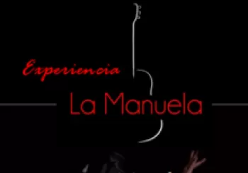 LA MANUELA Experiencia: vino, tapas y flamenco.. En Madrid 