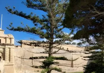 Best of Mdina and Rabat Walking Tour en Malta
