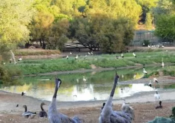 Cañada de los Pájaros en Sevilla