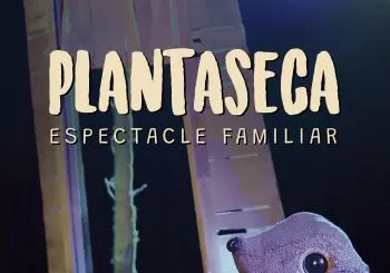 PLANTASECA en Teià