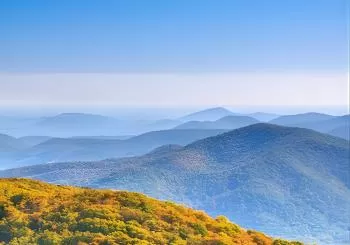 Half-Day Wine Tastings in the North Georgia Mountains en Atlanta
