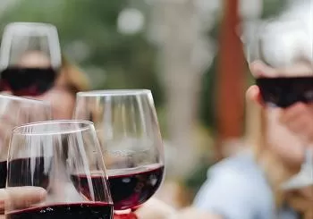 North Georgia Wine Country Tour from Atlanta