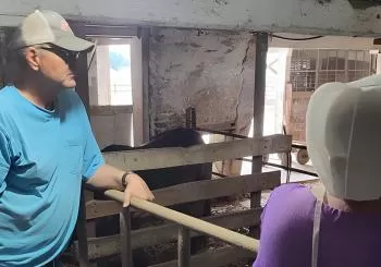 Unique Amish Immersion in Lancaster