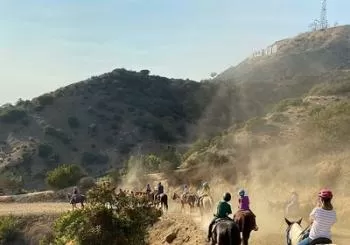 Mulholland Trail Horseback Tour en Los Angeles