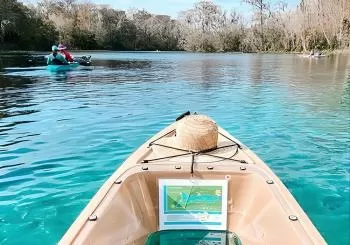 Silver Springs Glass Bottom Kayak Tour! en Orlando
