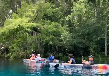 Glass Bottom Kayak Tours of Silver Springs en Orlando