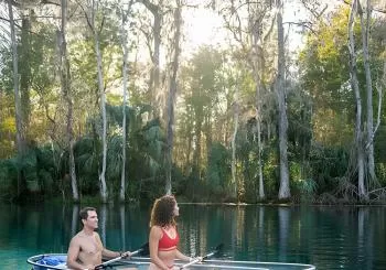 Silver Springs: Clear Kayak Wildlife Adventure en Orlando