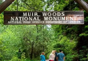 Muir Woods & Sausalito: Morning Tour from San Francisco en SF Bay Area