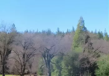 A Highway 49 Drive: A Self-Guided Audio Tour from Jackson to Angels Camp en Sacramento