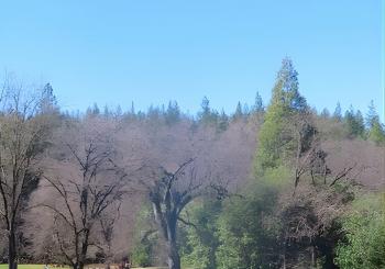 A Highway 49 Drive: A Self-Guided Audio Tour from Jackson to Angels Camp en Sacramento