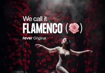 We Call It Flamenco: Eine einzigartige spanische Tanzshow en Leipzig