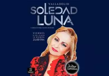Flamenco para todos los oídos en VALLADOLID