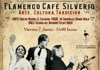 MARISCAL FLAMENCO- CAFÉ SILVERIO en Sevilla