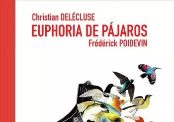 EUPHORIA DE PÁJAROS. ElectroPerformance en Santa Cruz de Tenerife