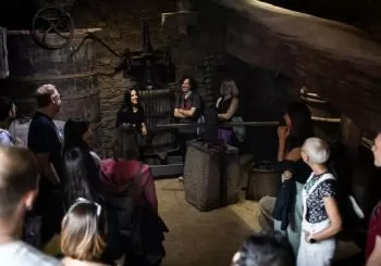 Visita al Museo del Vino de Cangas (Barrio de Santiso) en Cangas del Narcea