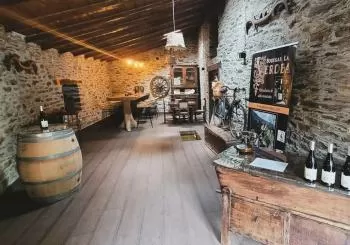 Visita + cata a Bodega La Verdea (Puenticiella) en Cangas del Narcea