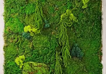 Moss Wall Workshop en Long Island