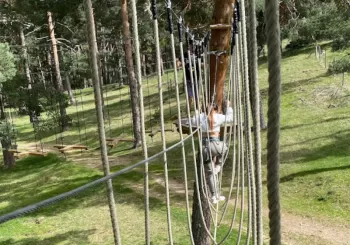 Tirolinas de Pino a Pino + Día de piscina en Madrid