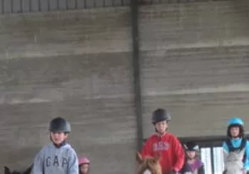Clases de Equitacion. En Caceres